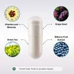Brain Boost Fusion комплекс для підтримки мозку та концентрації - 60 капсул - Зображення 3