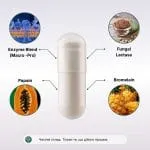 Digestive Enzyme Pro Blend комплекс ферментів для підтримки травлення - 60 капсул - Зображення 3